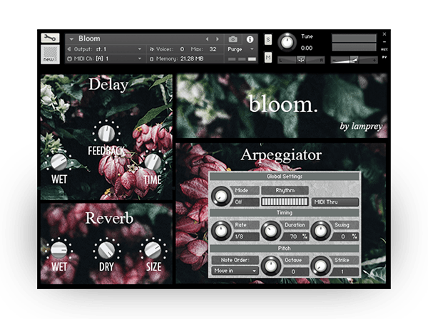 Bloom