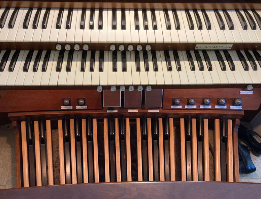 organ-1