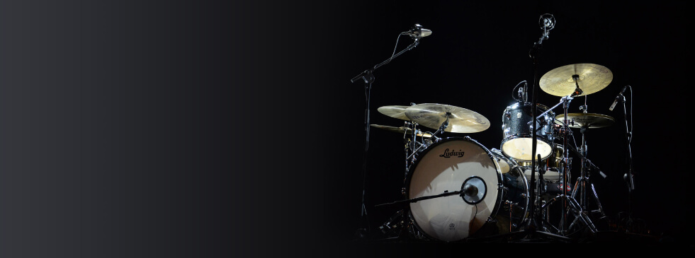 ludwig 1